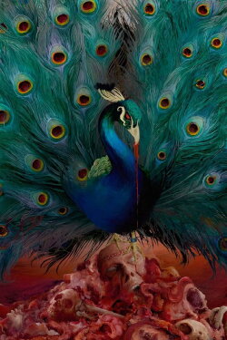 Opeth: Sorceress (2016)