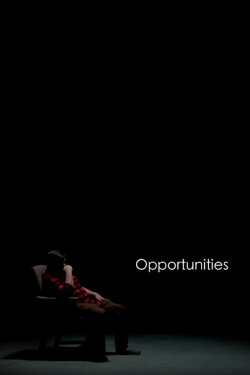 Opportunities (2018)