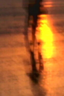 orange factory (2002)