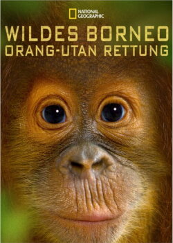 Orangutan Rescue - Back to The Wild (2014) Orangutan Rescue - Back to The Wild (2014)