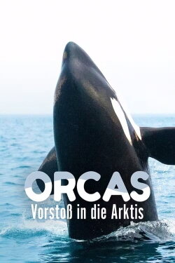 Orcas - Vorstoss in die Arktis (2014) Orcas - Vorstoss in die Arktis (2014)