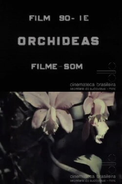 Orchids (1937)