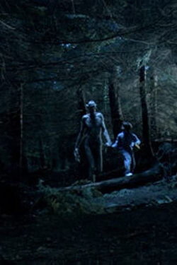 Ordan's Forest (2005) Ordan's Forest (2005)