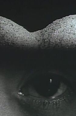 ORG (1994)