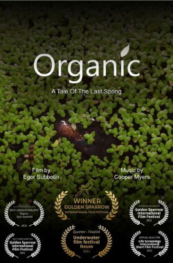 Organic (2022)