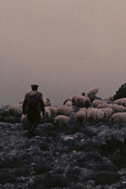 Orgosolo’s Shepherds (1958)