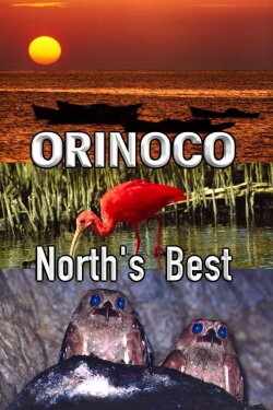 Orinoco, North’s Best (2005) Orinoco, North’s Best (2005)