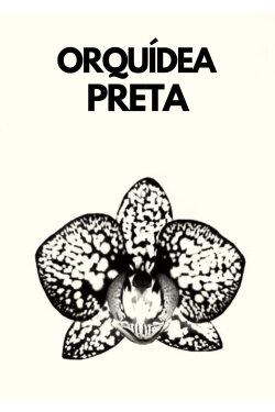 ORQUÍDEA PRETA (2024) ORQUÍDEA PRETA (2024)