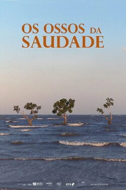 Os Ossos da Saudade (2022) Os Ossos da Saudade (2022)