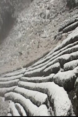 Osawa Winter (2015)