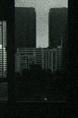 Oscillation (2020)