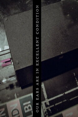 Our Ears are in excellent condition (2018) Our Ears are in excellent condition (2018)