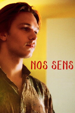 Our Senses (2024) Our Senses (2024)
