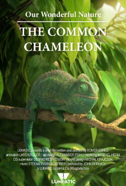 Our Wonderful Nature - The Common Chameleon (2016) Our Wonderful Nature - The Common Chameleon (2016)