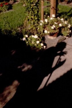 Out in the Garden (1991) Out in the Garden (1991)