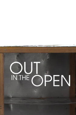 Out In The Open (2017) Out In The Open (2017)