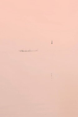 Out of Autofocus (2016) Out of Autofocus (2016)
