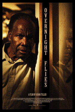 Overnight Flies (2016)