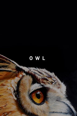 Owl (2019)