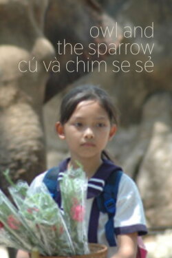Owl and the Sparrow (2008) Owl and the Sparrow (2008)