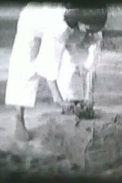Pământul (1976)