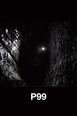 P99 (2020) P99 (2020)