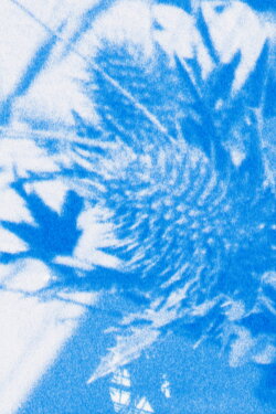 Pale, Blue (2022) Pale, Blue (2022)