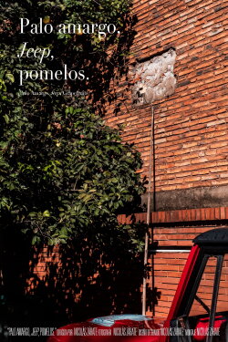 Palo Amargo, Jeep, Grapefruits (2020) Palo Amargo, Jeep, Grapefruits (2020)