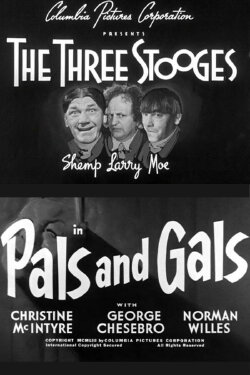Pals and Gals (1954) Pals and Gals (1954)