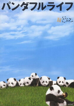 Panda Days (2008)