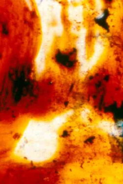 Panels for the Walls of Heaven (2002) Panels for the Walls of Heaven (2002)