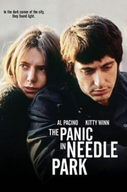 Panic on the Streets of New York (2011) Panic on the Streets of New York (2011)