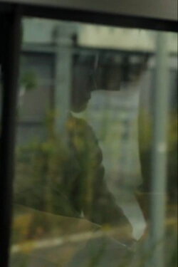 Panorama (2012) Panorama (2012)