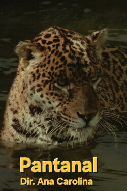 Pantanal (1971)
