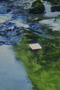 Paper in River (1980)