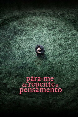 Pára-me de Repente o Pensamento (2015)