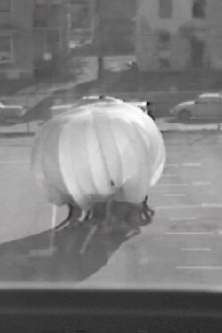 Parachute (1973)