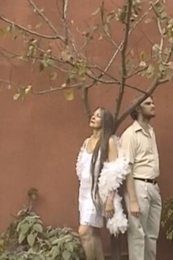 Paradise Gone (2007)
