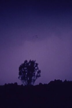 Parallax (1986)