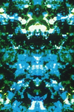 Paranoia Corridor (1995)