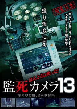 Paranormal Surveillance Camera 13 (2015) Paranormal Surveillance Camera 13 (2015)