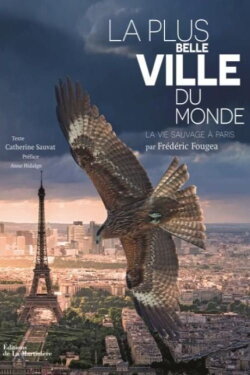 Paris: A Wild Story (2017) Paris: A Wild Story (2017)