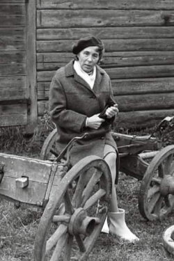 Partei liige (1971)