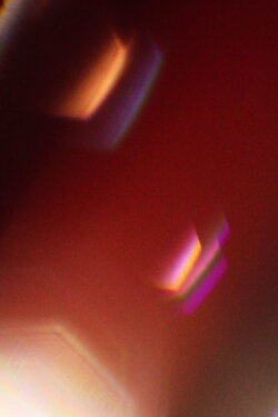 Partially Obscured (2022)