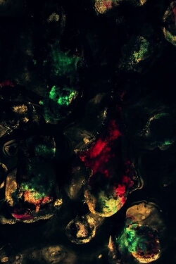 Particology (2011) Particology (2011)