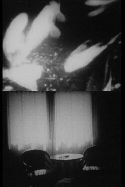Party (1995)
