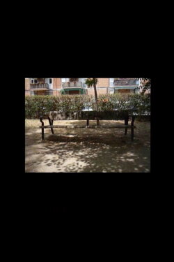 Paseando y recordando (2024)