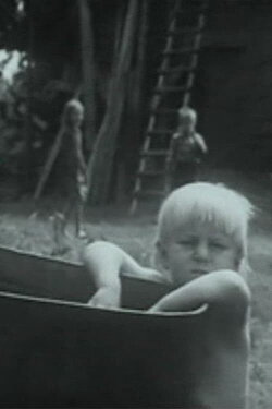 Paskutinė vienkiemio vasara (1970) Paskutinė vienkiemio vasara (1970)
