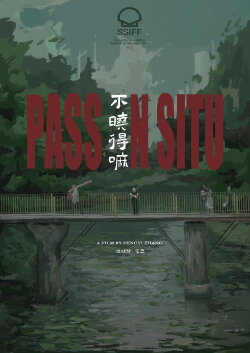 Pass in Situ (2022)