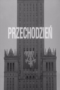 Passerby (1984)